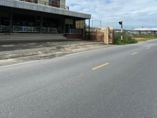 �Ҥ�þҳԪ�������� �ҡ��紹������