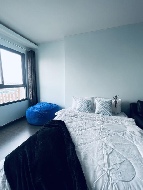 ������ �͹�