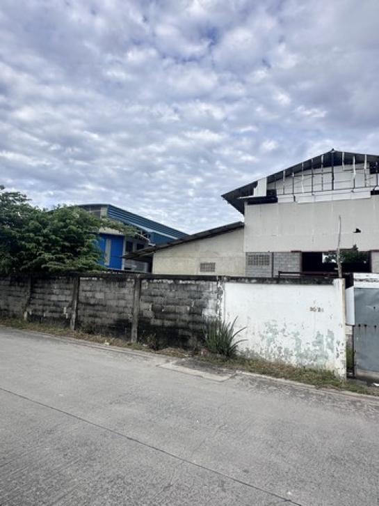 ���⡴ѧ ��������ا෾