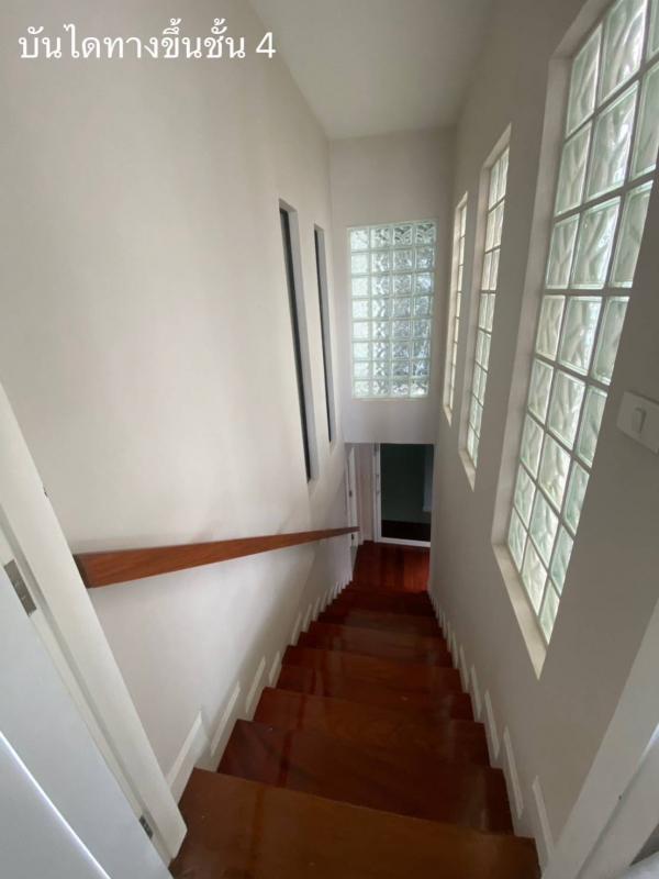 ����Ҥ�þҳԪ�� �Ѳ�ҡ�ا෾