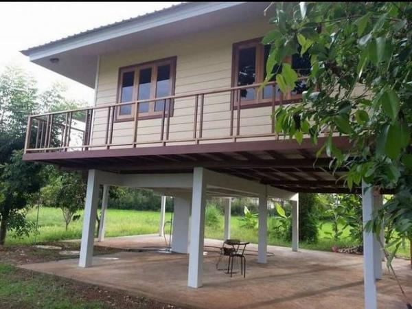 ���Թ �ԨԵ� ������¹����ǹ���