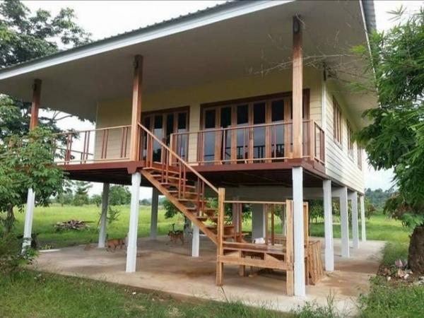 ���Թ �ԨԵ� �������