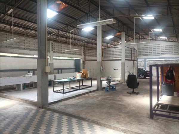 ⡴ѧ������ ���⢹���ا෾