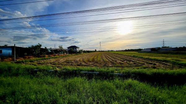 ���Թ 13 ���