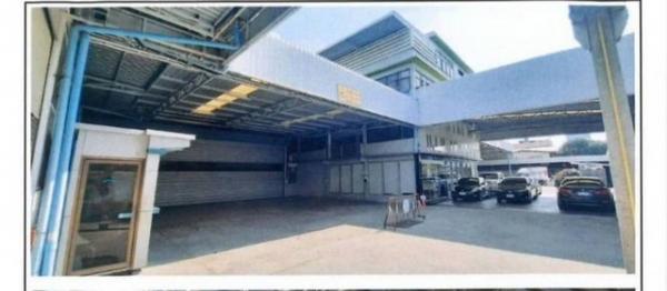 ⡴ѧ������ �ҹ���ҡ�ا෾