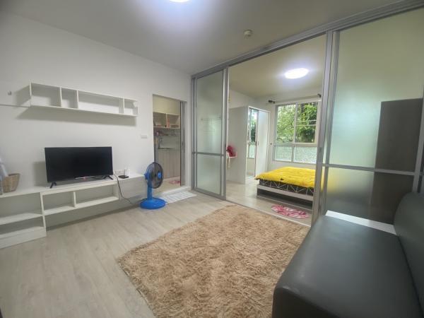 �͹������� ���ͧ��§�����§���