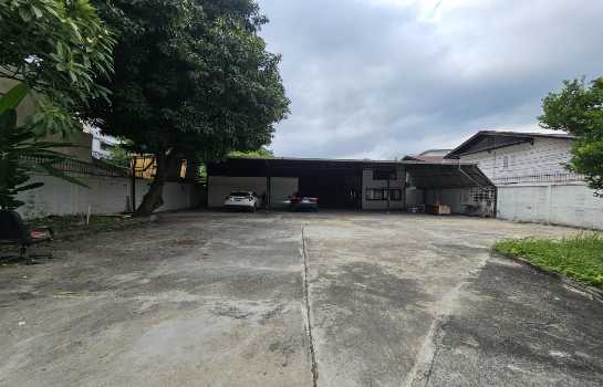 ⡴ѧ������ �����ա�ا෾