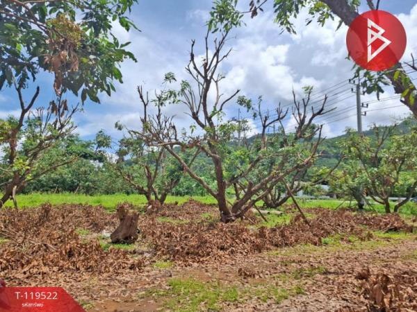 ��·��Թ �ԧ��§���