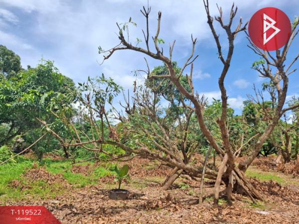 ��·��Թ �ԧ��§���