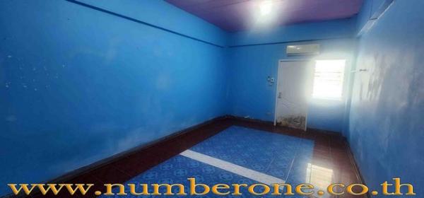 ��¤͹� �͹���ͧ