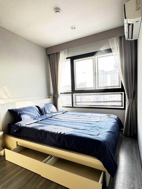 �͹������� �ҧ�лԡ�ا෾