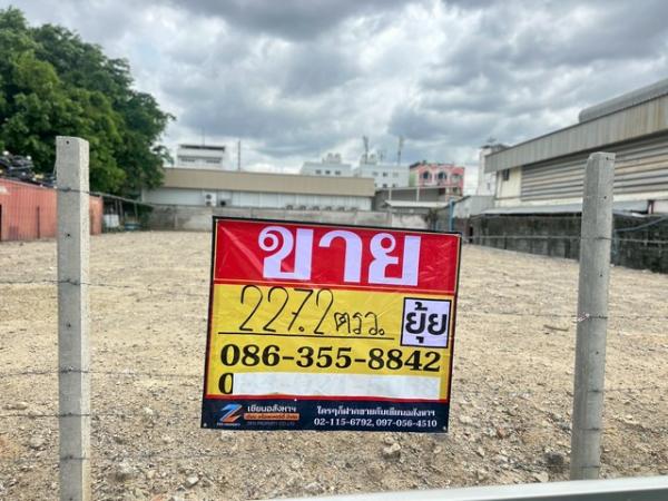 ��ا෾ �� zionasset1