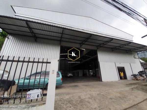 �����Һҧࢹ �� Kong property