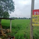 ��·��Թ ���ͧ