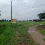 ��� ���Թ ���ͧ��ɳ��š ��ɳ��š