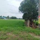 ��� ���Թ ���ͧ