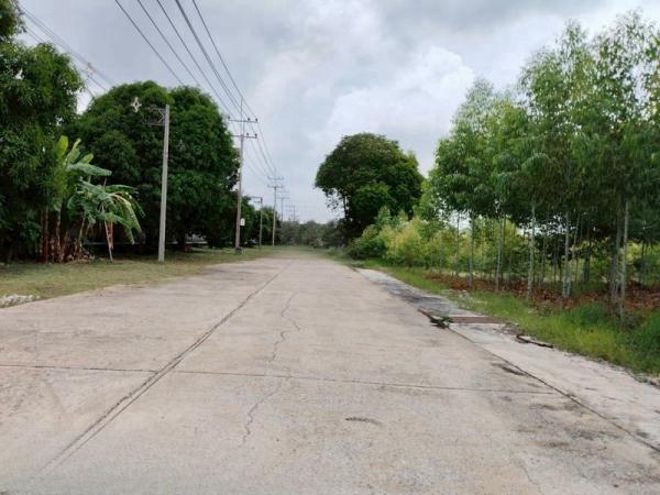 ����ç�ҹ ��ͧ��ǧ �����ҹ�