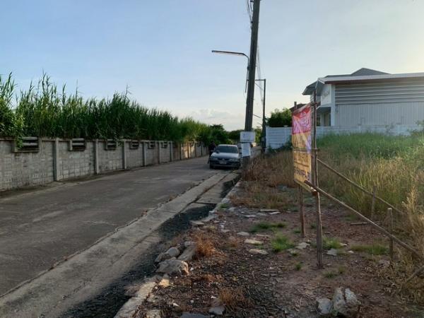 ��·��Թ �ҧ�͹