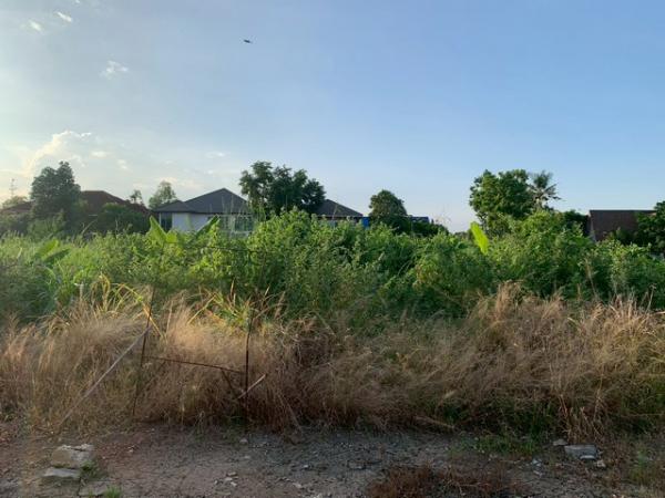 ��·��Թ �ҧ�͹