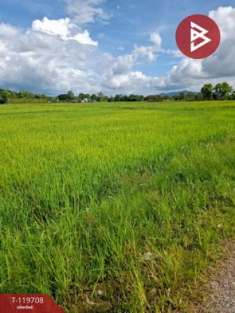 ��·��Թ �ԧ��§���