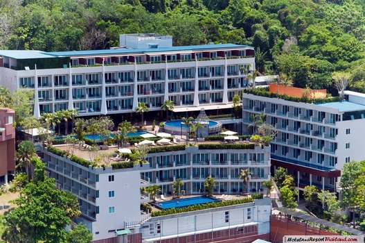 ��¸�áԨ �з������