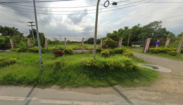 ��áԨ �����ҹ� ����������