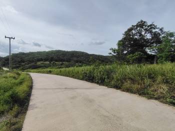 ���Թʹ������ ��ШǺ���բѹ��