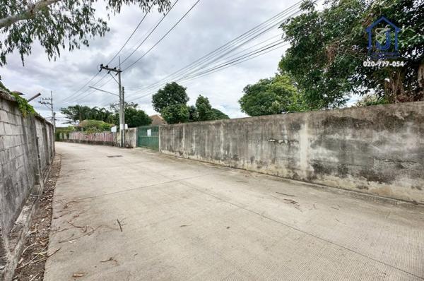 ���Թ�ѷ���� �ź���