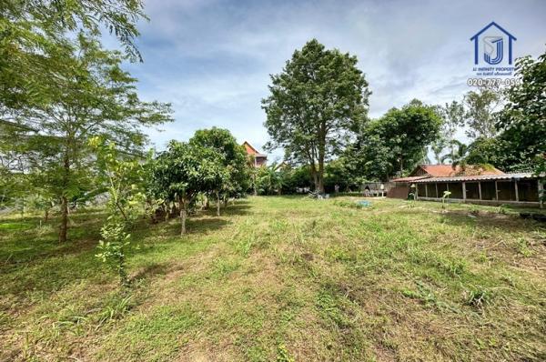 ���Թ������ �ź���