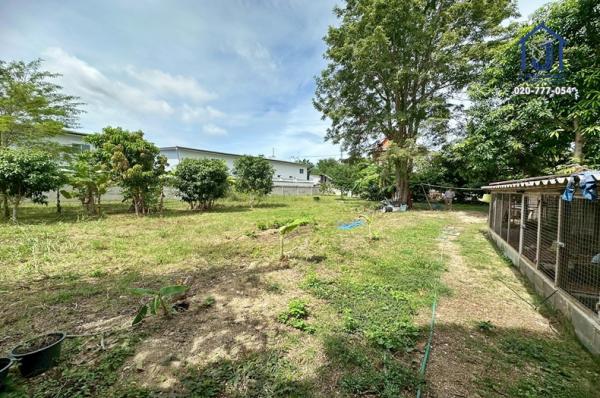 ���Թ������� �ź���