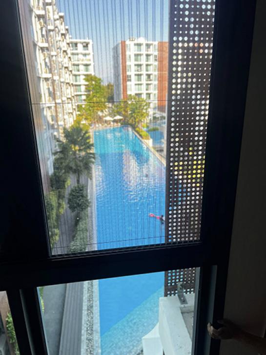 �͹������� �ѹ������§����