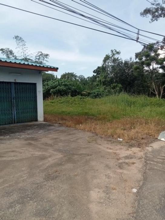 ��·��Թ �����ʹ��ѧ