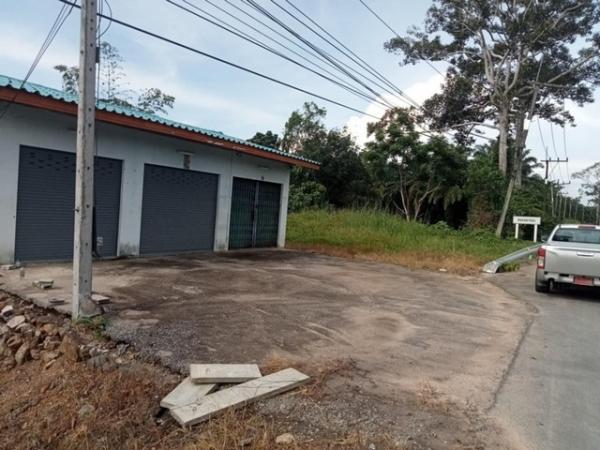 ��·��Թ �����ʹ��ѧ