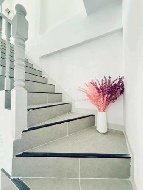 ��ǹ���� ������ 17 ���ҧ��