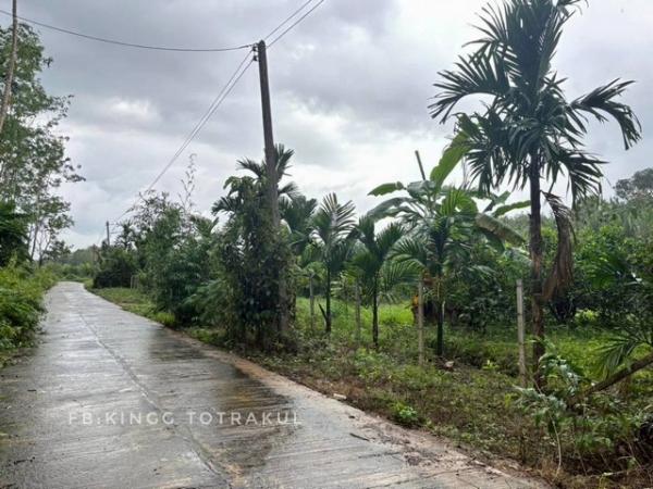 ��·��Թ �ǹ��ع�ѷ�ا