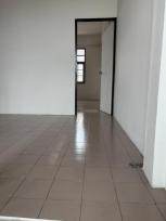 �Ҥ�þҳԪ�� �ѹ�����