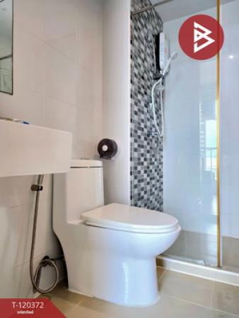 ��¤͹� ��з���ẹ ��ط��Ҥ�