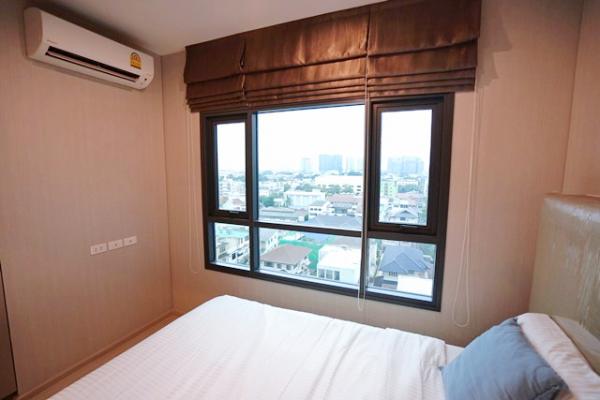 �͹������� �ҧ�͡�˭�