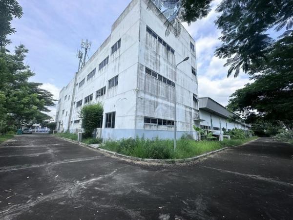 ����ç�ҹ �Ҵ��кѧ ��ا෾