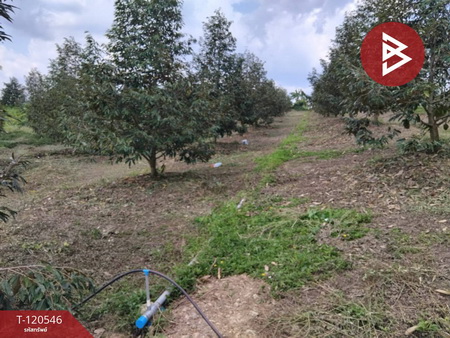 �ѹ����� �� The Best Property Agent