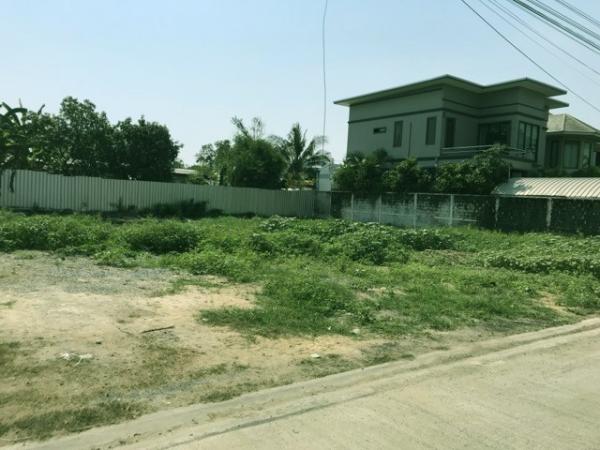 ขายที่ดินbtsขาย ขายที่ดินbtsขาย