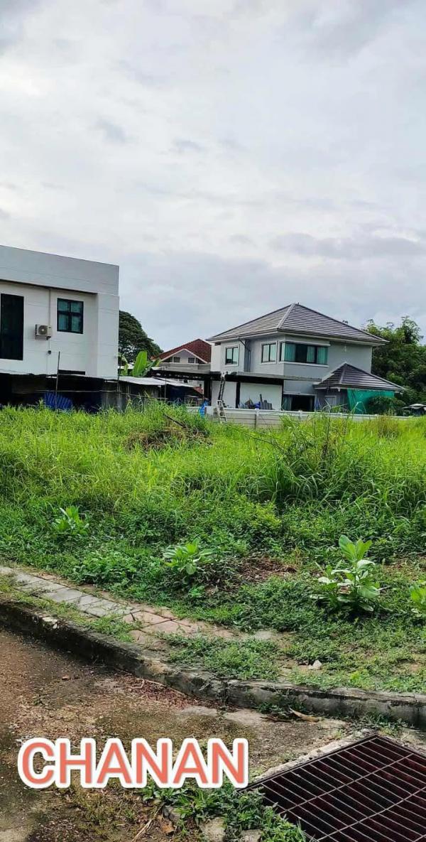 �س ��ѹ���