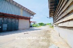 ������ ⡴ѧ ���ͧ 2 ���