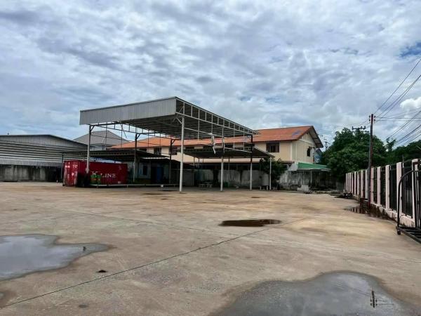 �ź��� �� 1000property