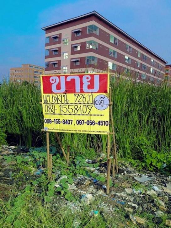 ������� �� zionasset1