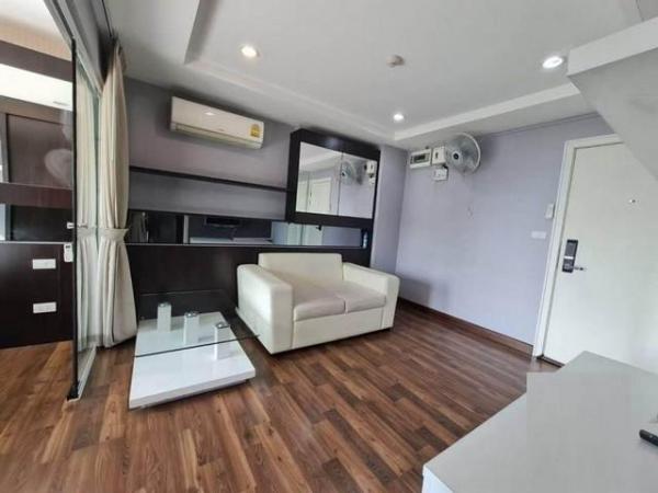 ��º֧���� �� coasset22