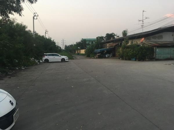 ⡴ѧ������ �ҧ�