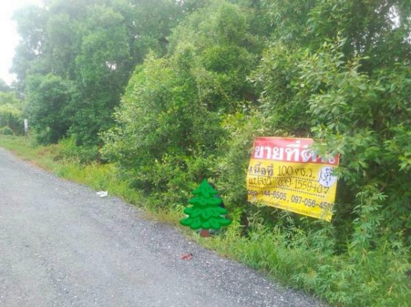 ������ �� zionasset1