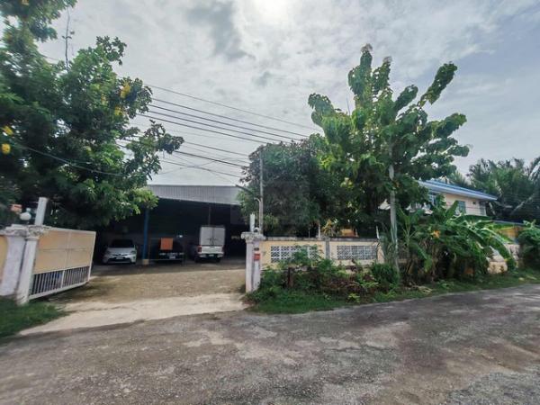 ��¡�ا෾ �� asangha PL