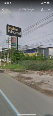 ���Թ�͹�� �͹��